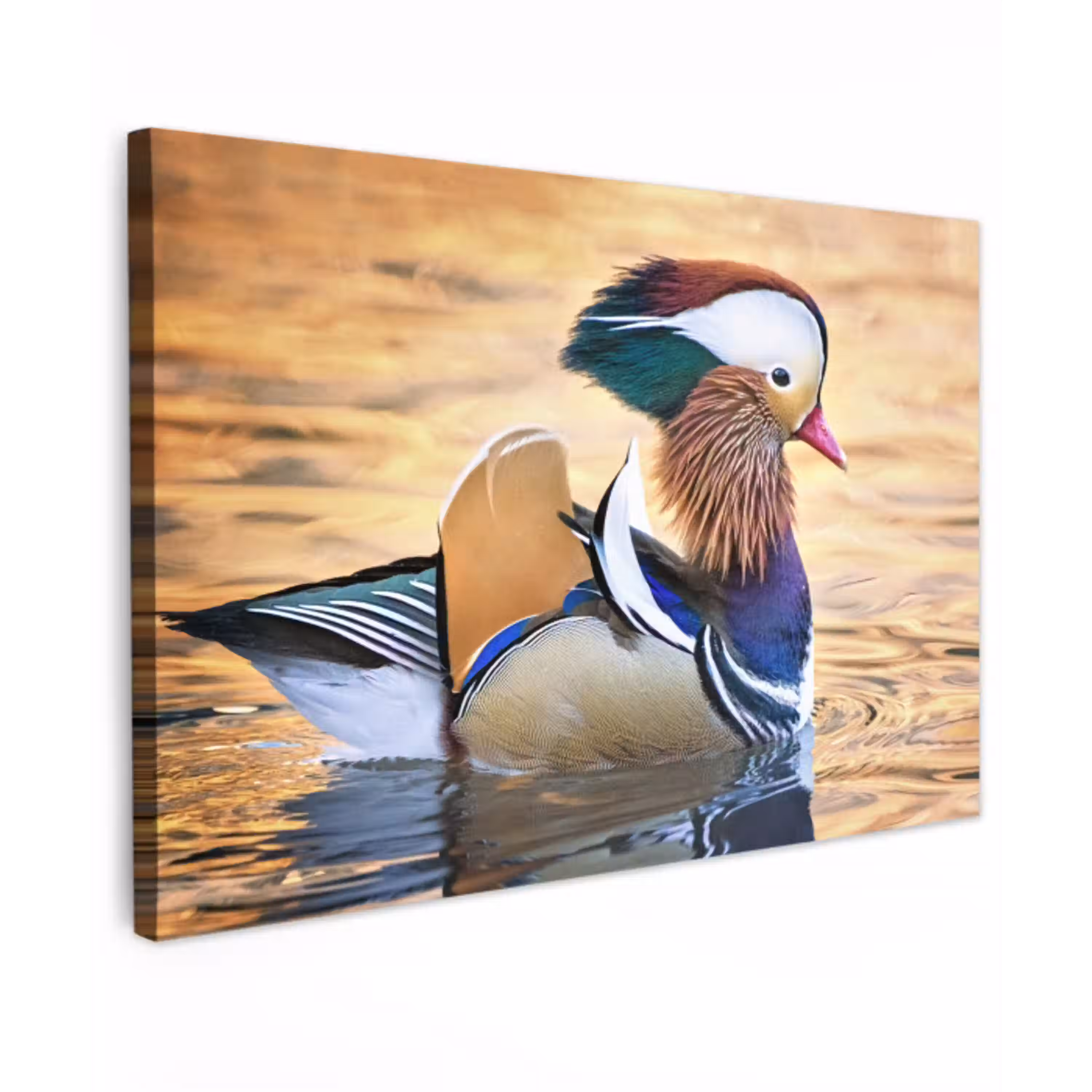 Close-up mandarijneend Tuinposter op houten frame 2 cm dik klein -3d