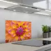 Dahlia - Bloem - Oranje keuken achterwand spatscherm klein -3d_schuin