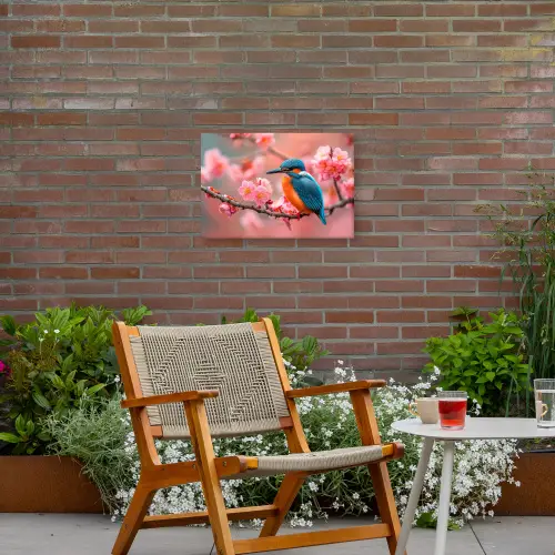 IJsvogel tussen Kersenbloesems Tuinposter op houten frame 2 cm dik klein -sfeer3