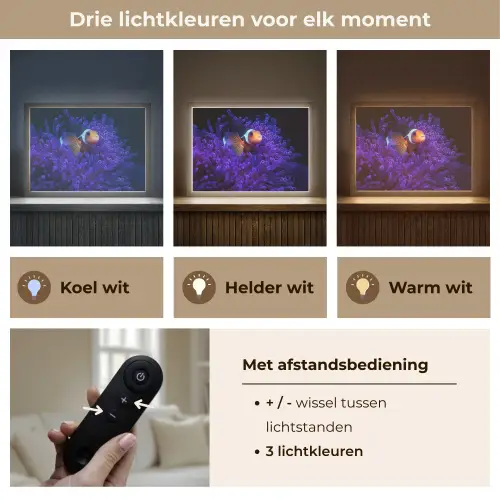 Koraal - Vis - Oranje - Zee Light Box met batterij (Wandlamp) middel -USP_lichtkleurNL