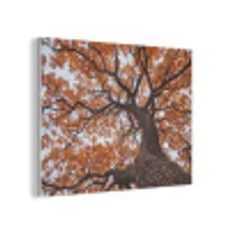 Boom - Bladerdak - Herfst - Oranje - Sfeervol PET vilt klein -3d