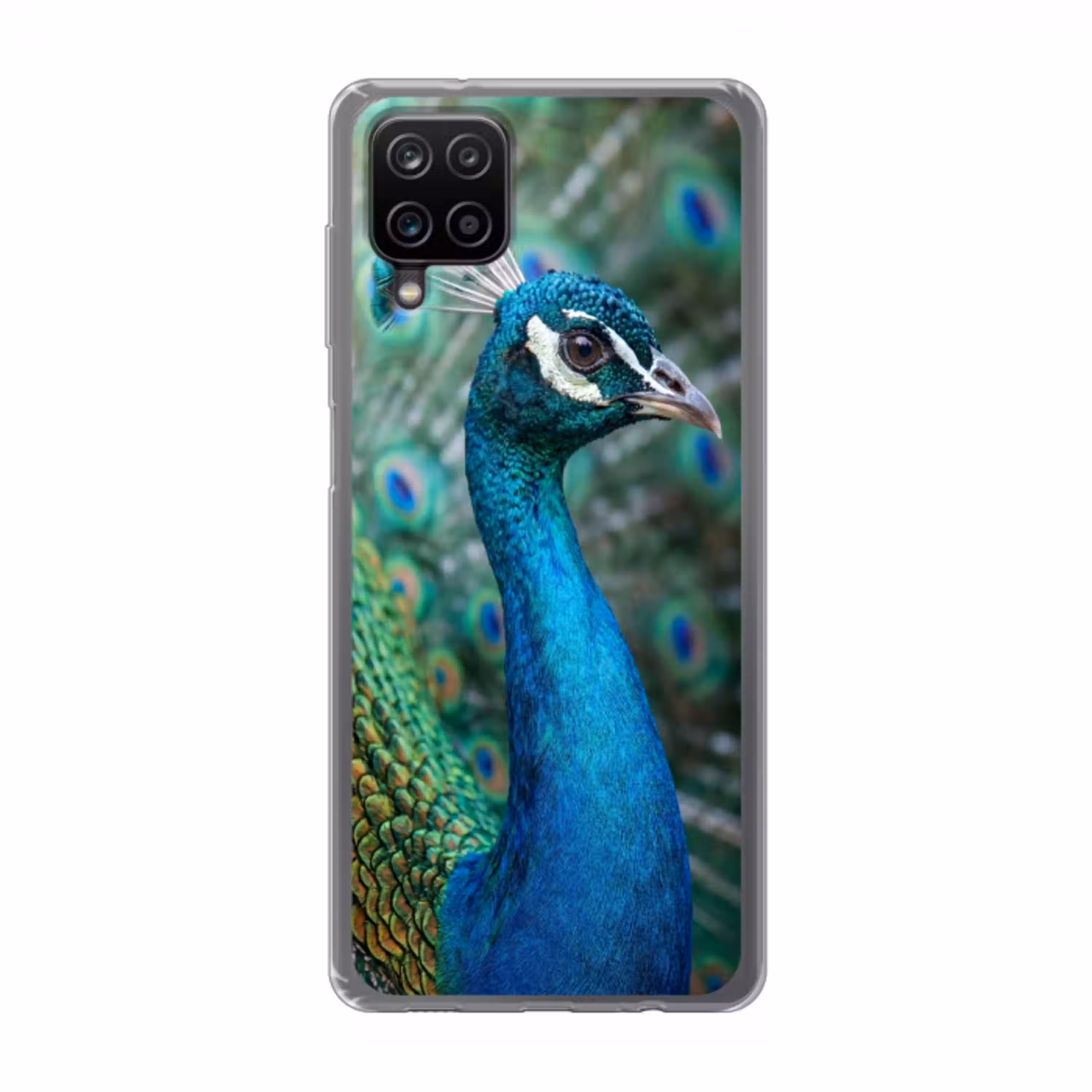 Pauw - Veren - Blauw Telefoonhoesje Samsung Galaxy A12 klein -3d