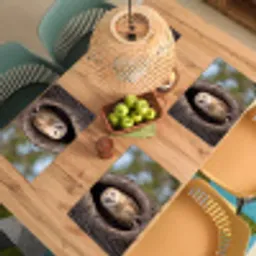 Kerkuil - Boom - Natuur - Bruin Placemat vinyl groot -zzsfeer5_Kitchenyeah-website