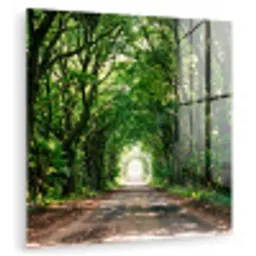 Weg - Bomen - Natuur - Groen plexiglas 5mm klein -zzzproduct_nieuw