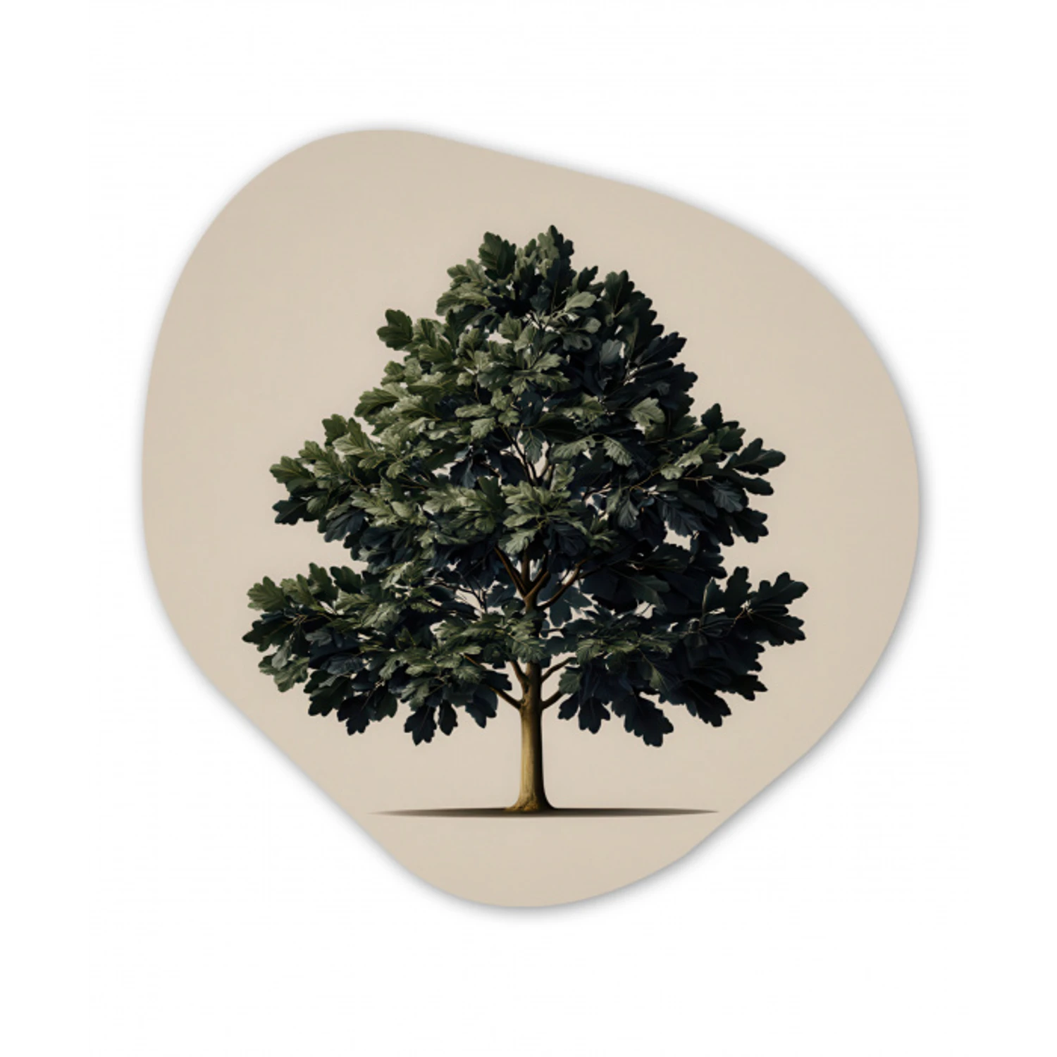 Eikenboom - Schaduw - Egaal Wandcirkel Organisch Forex 3mm klein -3d