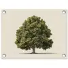 Eikenboom - Groen - Lichte achtergrond tuinposter los doek klein -3d