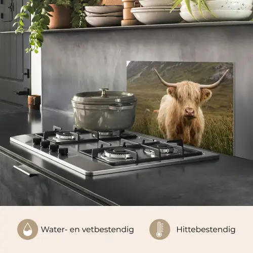 Schotse hooglander - Bergen - Grasveld keuken achterwand spatscherm klein -usp_NL