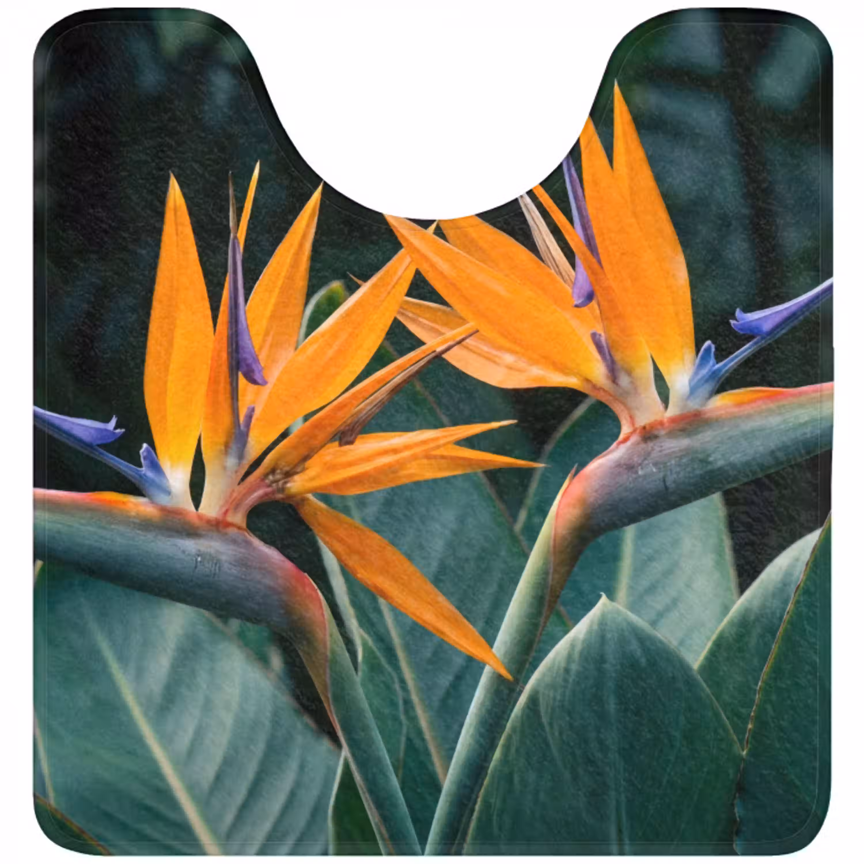 Paradijsvogel - Bloem - Exotisch WCmat U-uitsnede middel -3d