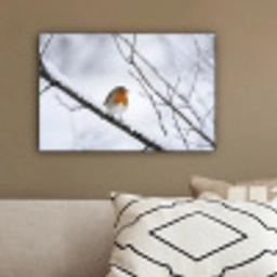 Roodborstje - Tak - Sneeuw - Winter - Levendig canvas 2cm klein -sfeer3