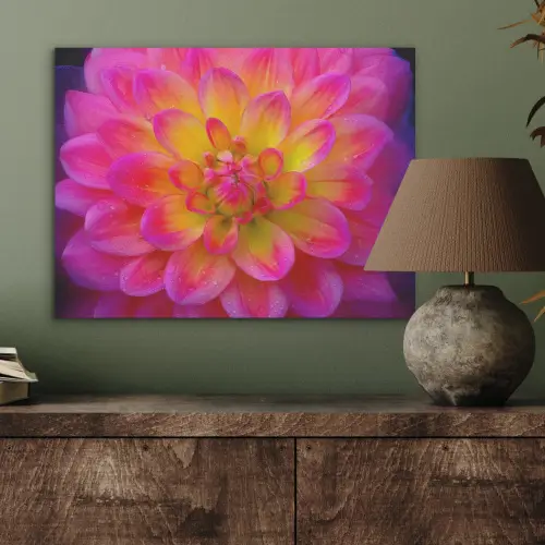 Roze - Dahlia - Kleurrijk PET vilt klein -sfeer2