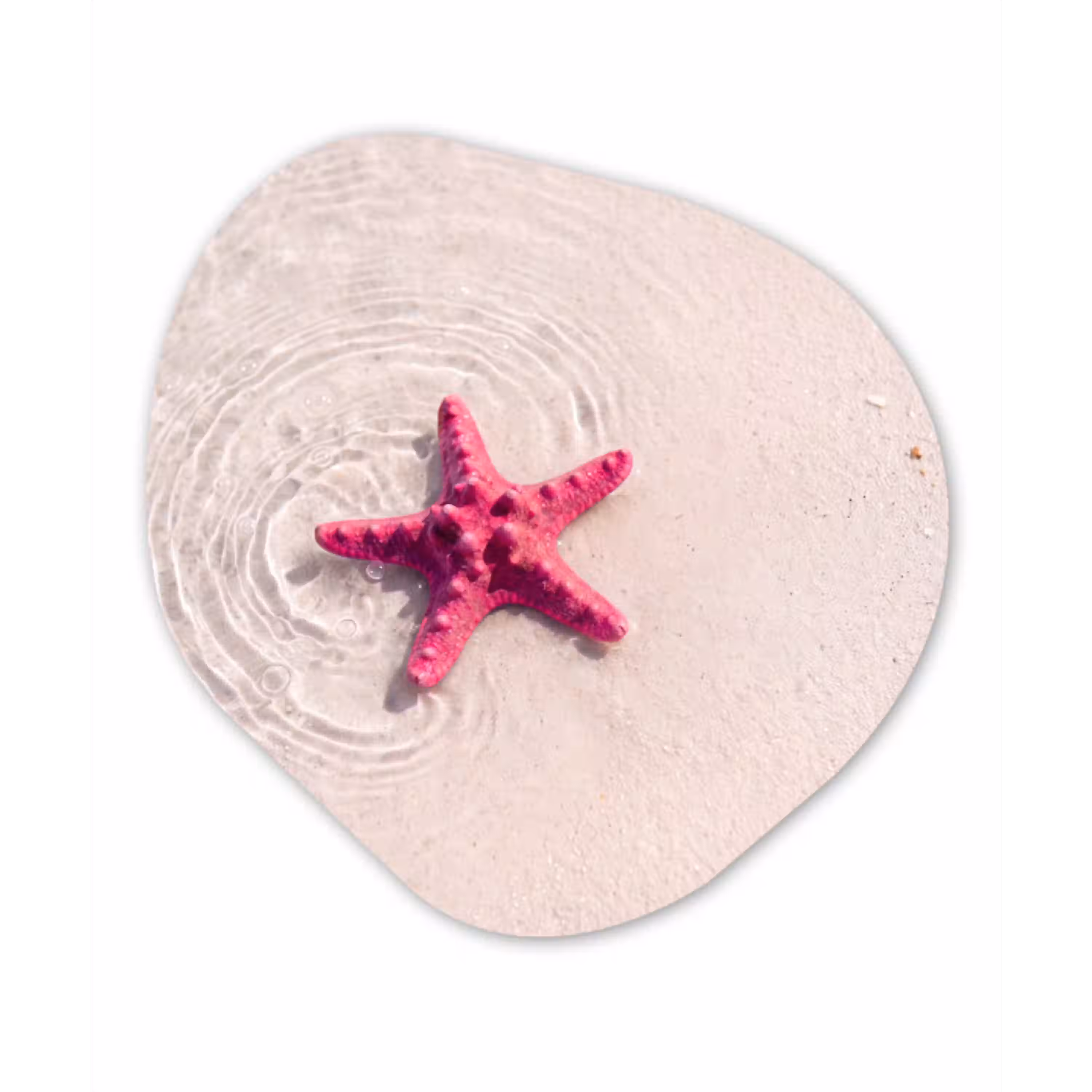 Zeeleven - Zeester - Strand - Roze - Water Wandcirkel Organisch Aluminium middel -3d