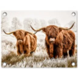 Twee Hooglanders in de Winter tuinposter los doek klein -3d