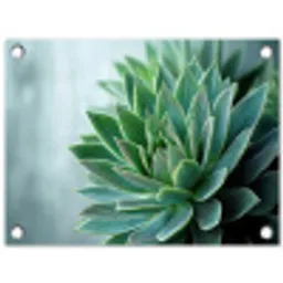 Vetplant - Bladeren - Groen - Wazig tuinposter los doek klein -3d