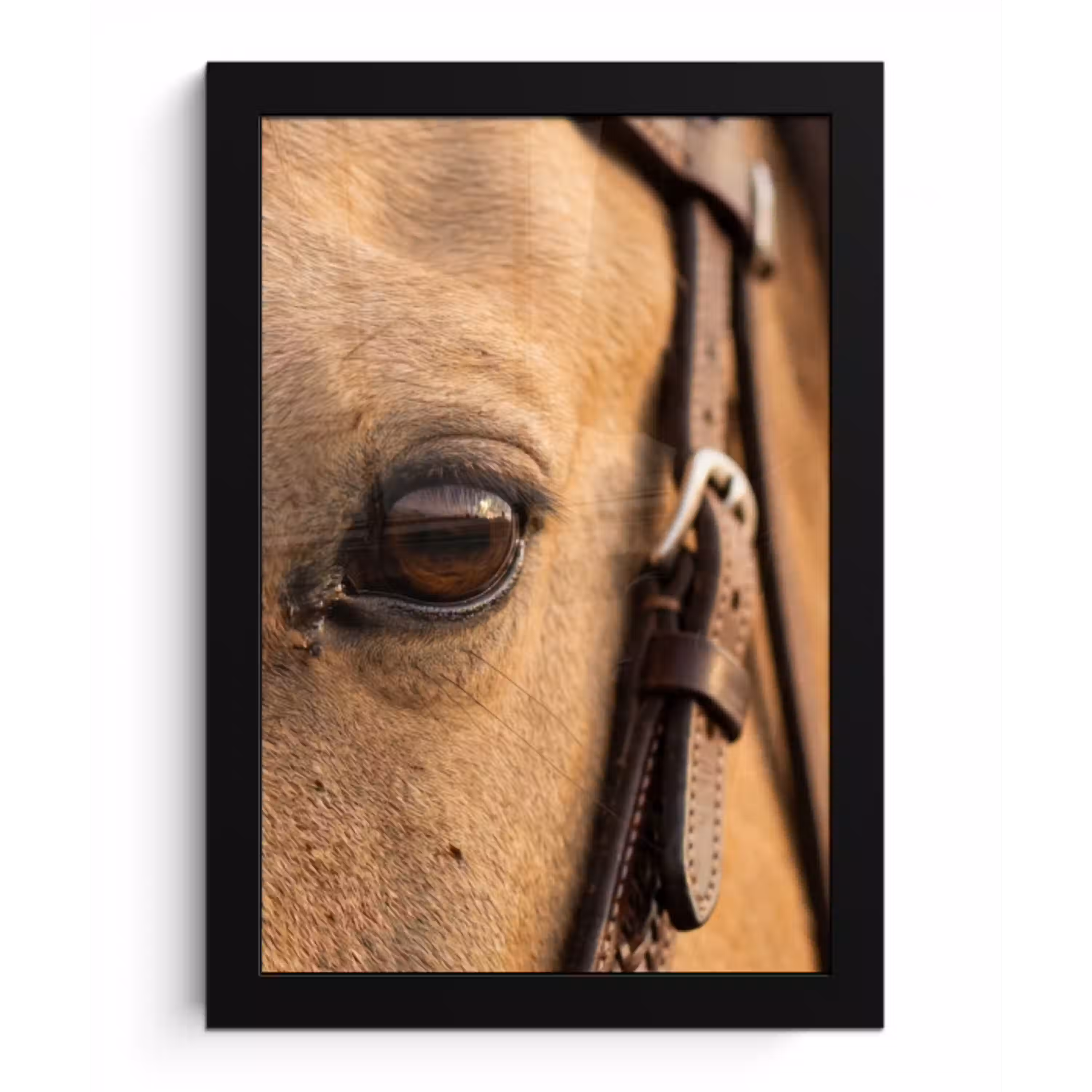 Paard - Oog - Bruin fotolijst zwart zonder passe partout klein -3d