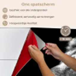 Leeuw tegen zwarte achtergrond in zwart-wit keuken achterwand spatscherm klein -spatscherm_NL