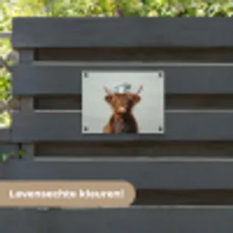 Schotse Hooglander - Bruin - Hoorns - Kokskleding tuinposter los doek klein -sfeer3