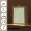 Botanisch - Takken - Groen Light Box met kabel (Tafellamp) klein 925 -USP_NL