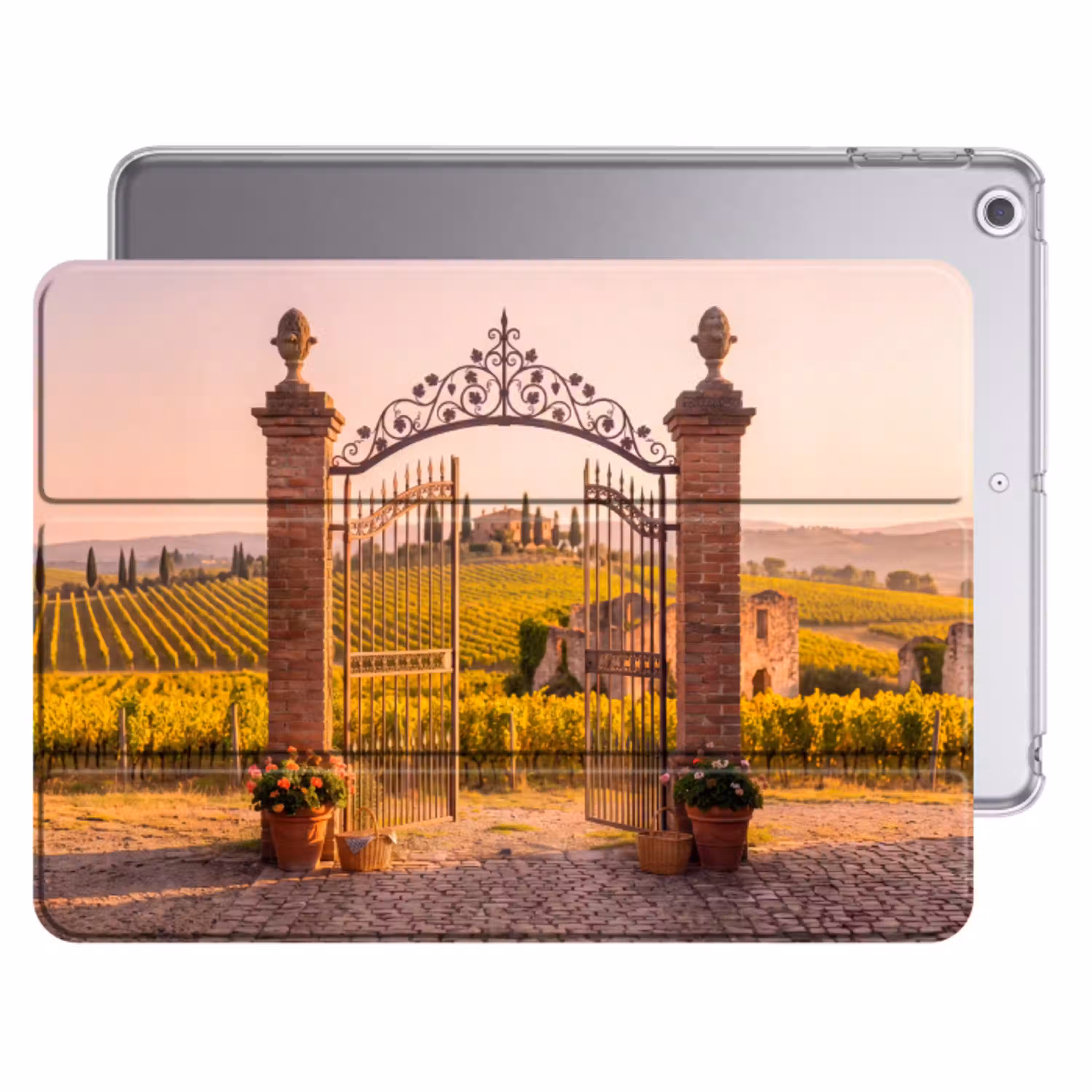 Poort - Landschap - Platteland - Zonlicht - Warm Apple iPad 2017 middel -threedimensional_3d_global