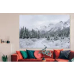 Weg - Bergen - Sneeuw - Naaldbos - Avontuurlijk forex 5mm xxl -woonkamer