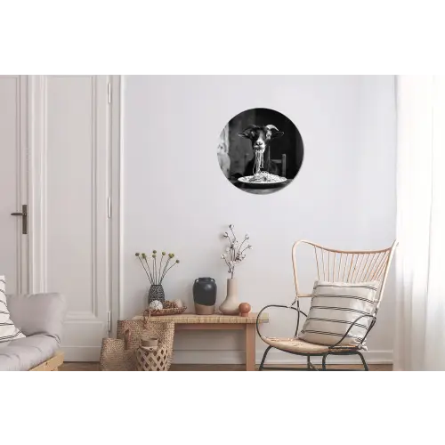 Geit - Bord - Spaghetti - Zwart Wit Wandcirkel aluminium klein -woonkamer