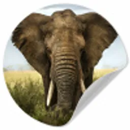 Olifant - Natuur - Gras - Dieren - Landschap Wandcirkel behangsticker klein -3d