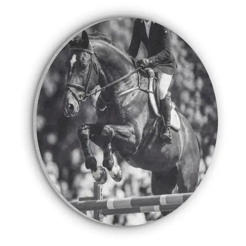 Springen - Paard - Zwart - Wit Akoestische PET Vilt - Rond klein -3d