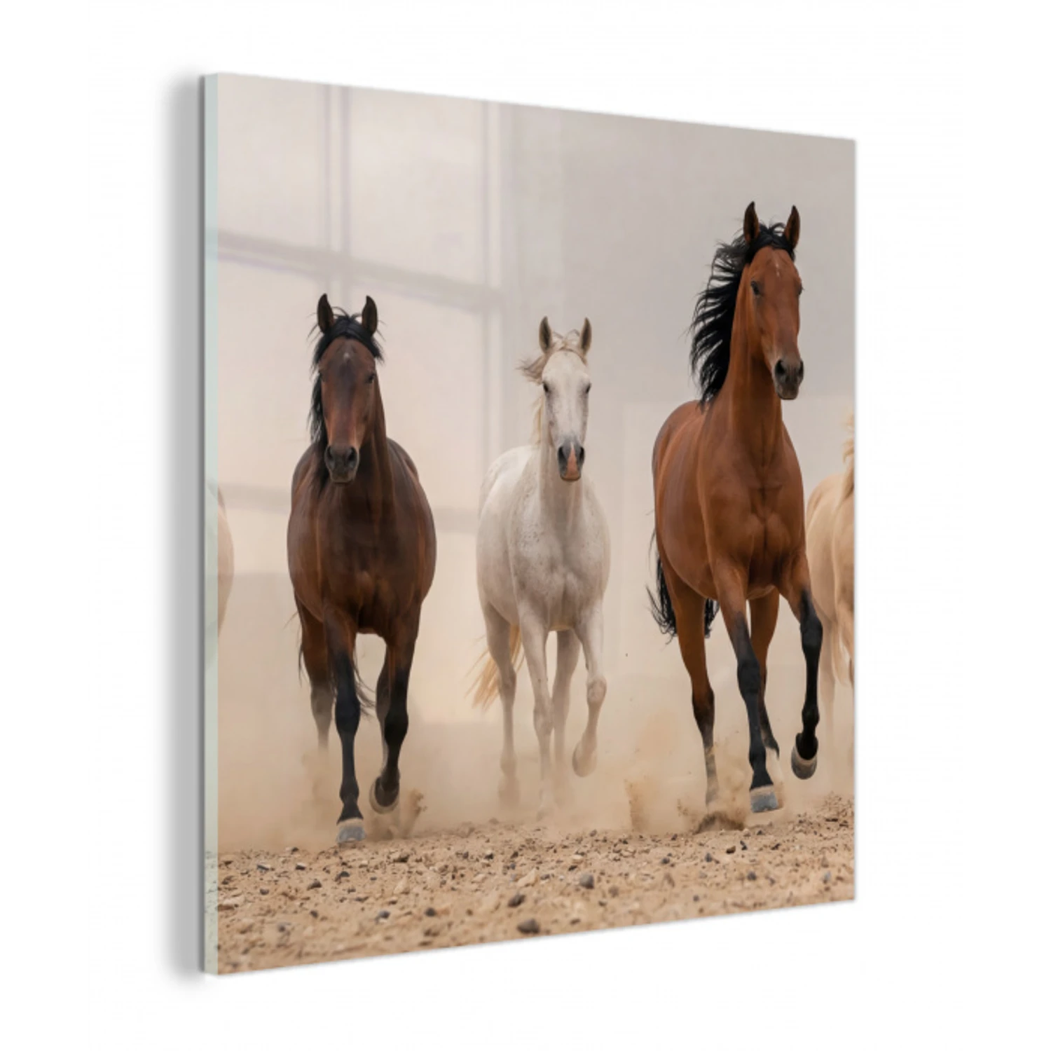 Kudde paarden - Stofwolk - Bruin - Zwart plexiglas 5mm klein -z3d