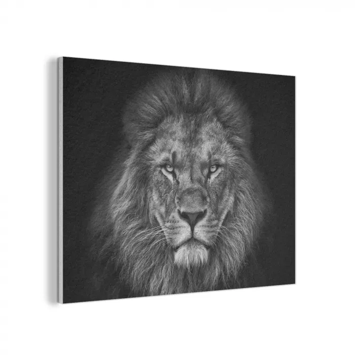 Leeuw - Dieren - Zwart - Wit PET vilt klein -3d