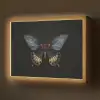 Vlinder - Metaalachtig - Geometrisch patroon Light Box met batterij (Wandlamp) middel -z3d_website
