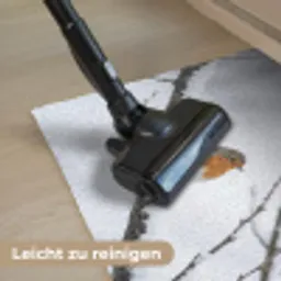 Roodborstje - Tak - Sneeuw - Winter - Levendig Deurmat klein -reinigen_DE
