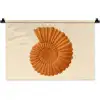 Schelp - Oranje - Ribbels Wandkleed katoen klein -zz3d