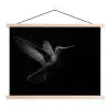 Kolibrie - Zwart - Dieren textielposter latten blank klein -3d