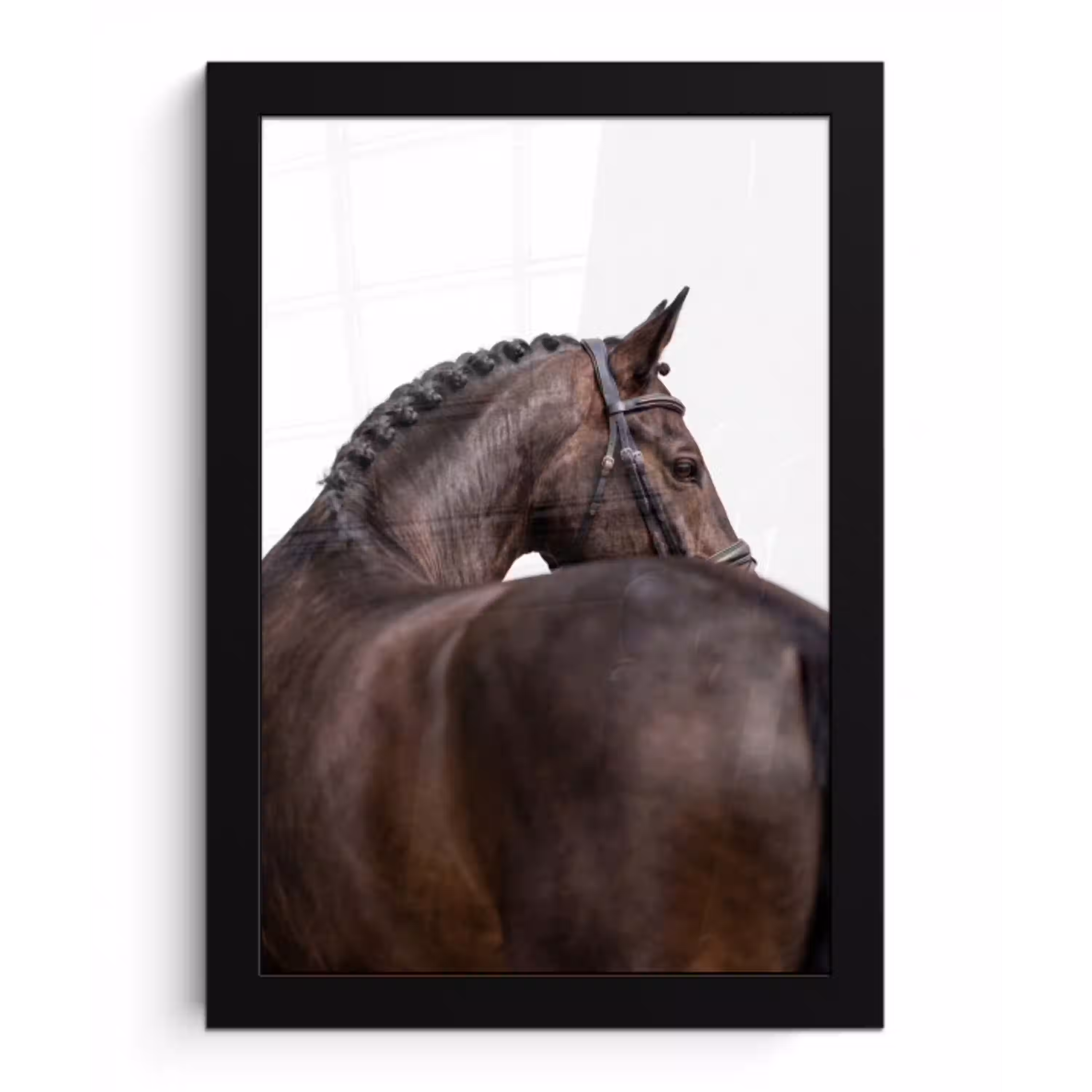 Portret - Paard - Elegant fotolijst zwart zonder passe partout klein -3d