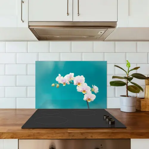 Orchidee - Bloemen - Plant - Wit - Paars keuken achterwand spatscherm klein -sfeer2