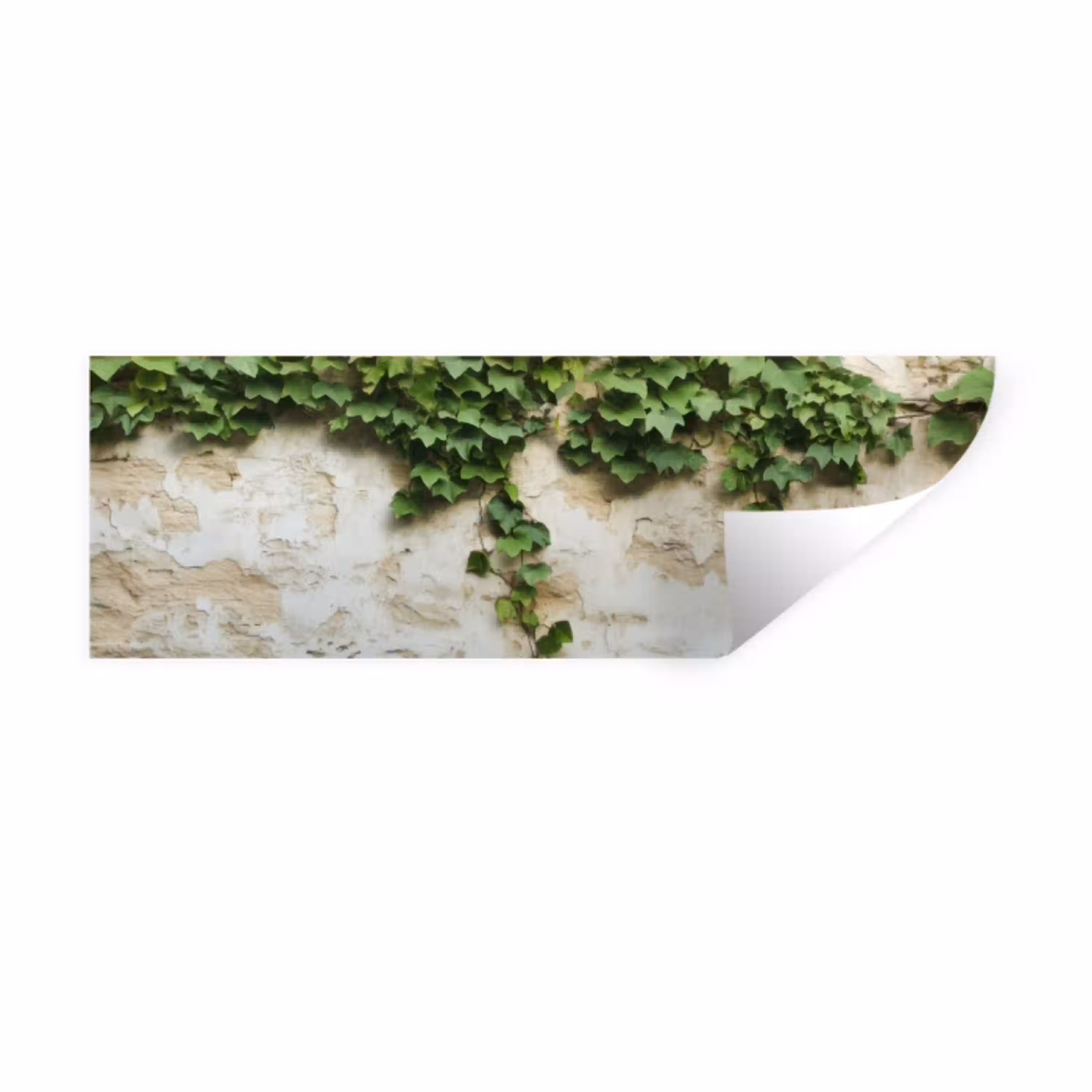 Klimop - Muur - Groen Muursticker klein -3d