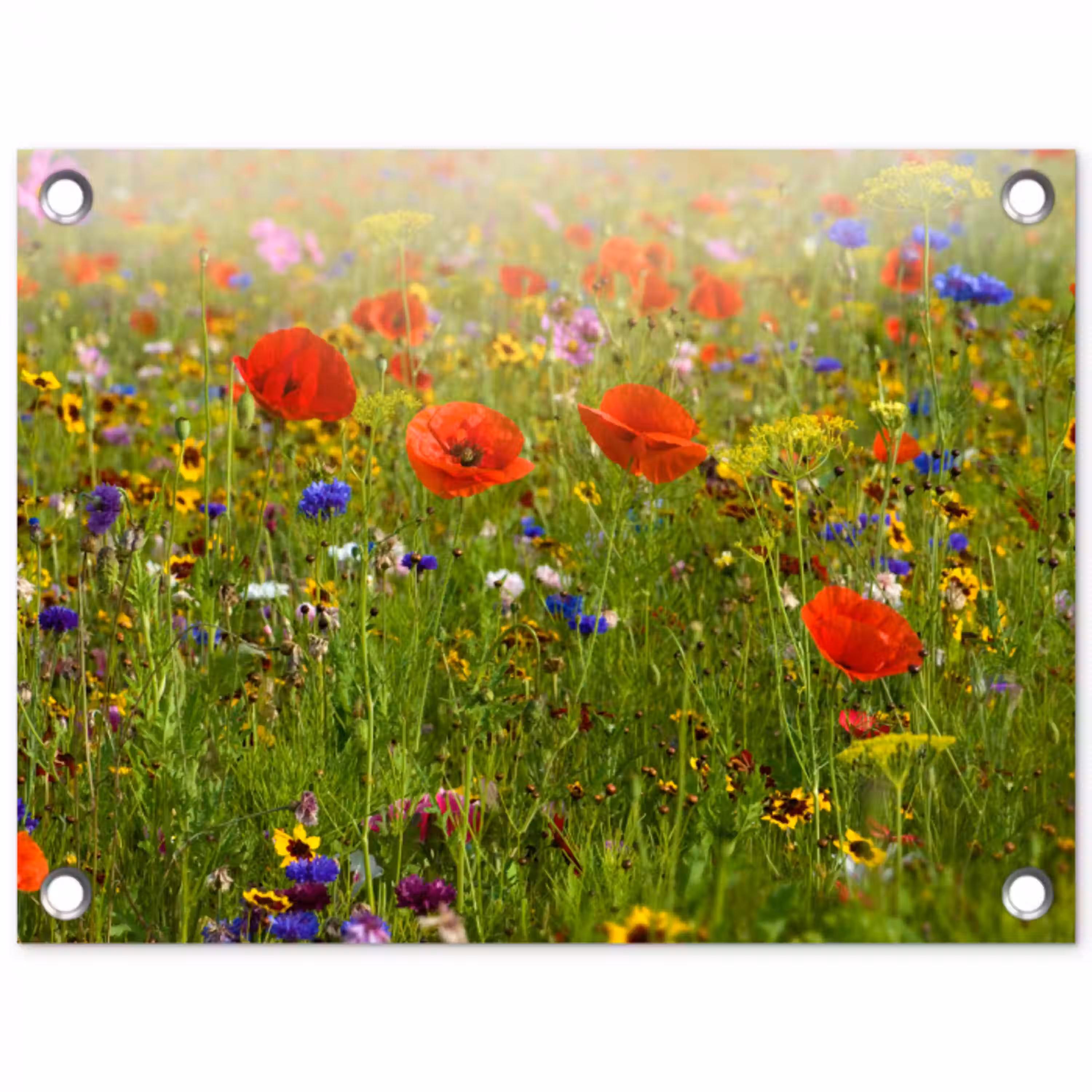 Lente - Bloemen - Rood - Klaproos - Gras - Groen tuinposter los doek klein -3d