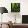 Jungle - Brug - Mos - Natuur - Tropisch plexiglas 5mm klein -sfeer6