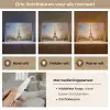 Eiffeltoren - Schilderij - Olieverf - Parijs Light Box met kabel (Tafellamp) klein -USP_lichtkleurNL