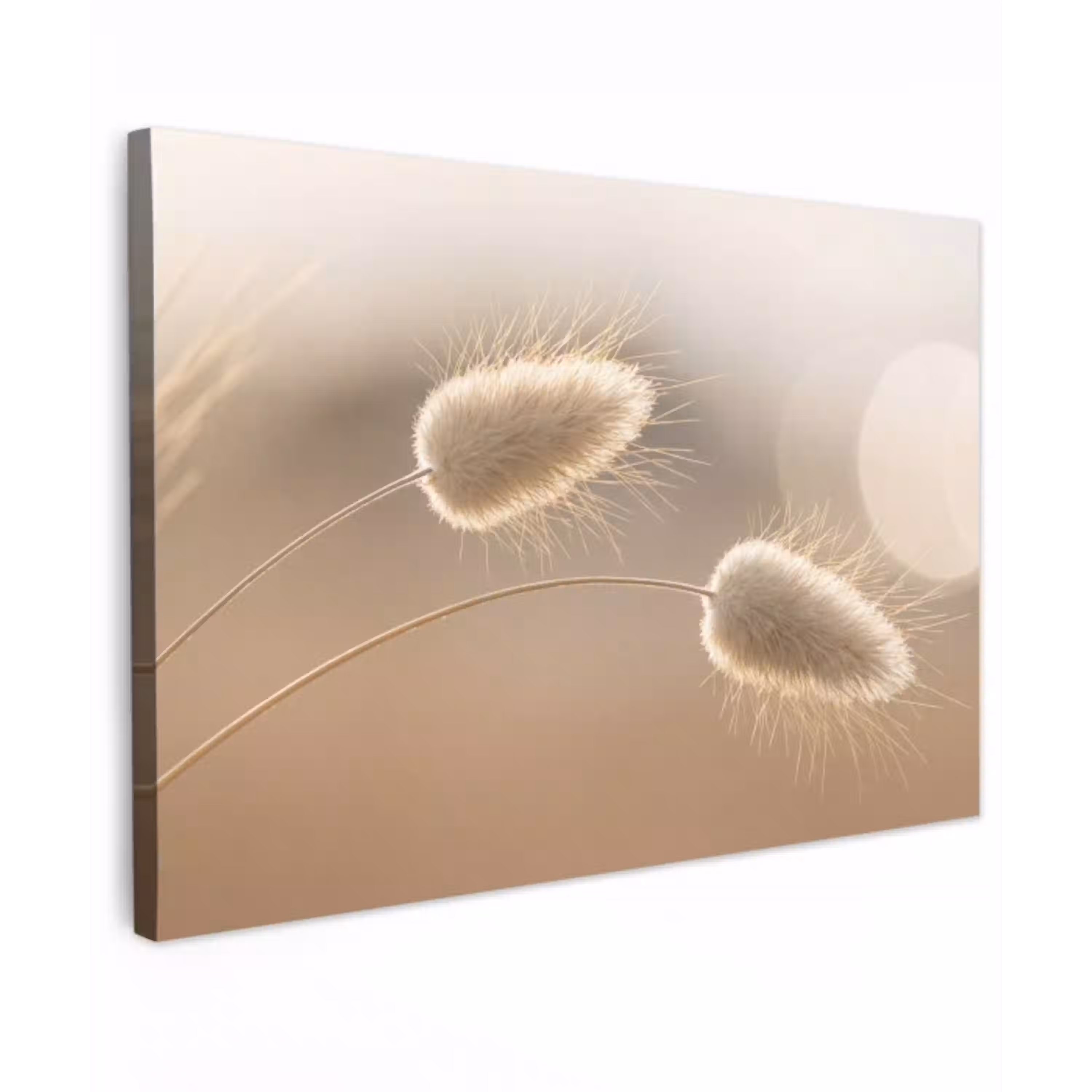 Hazestaartgras - Graanharen - Zonlicht Tuinposter op houten frame 2 cm dik klein -3d