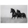 Paarden - Gras - Zwart - Wit poster papier klein -3d