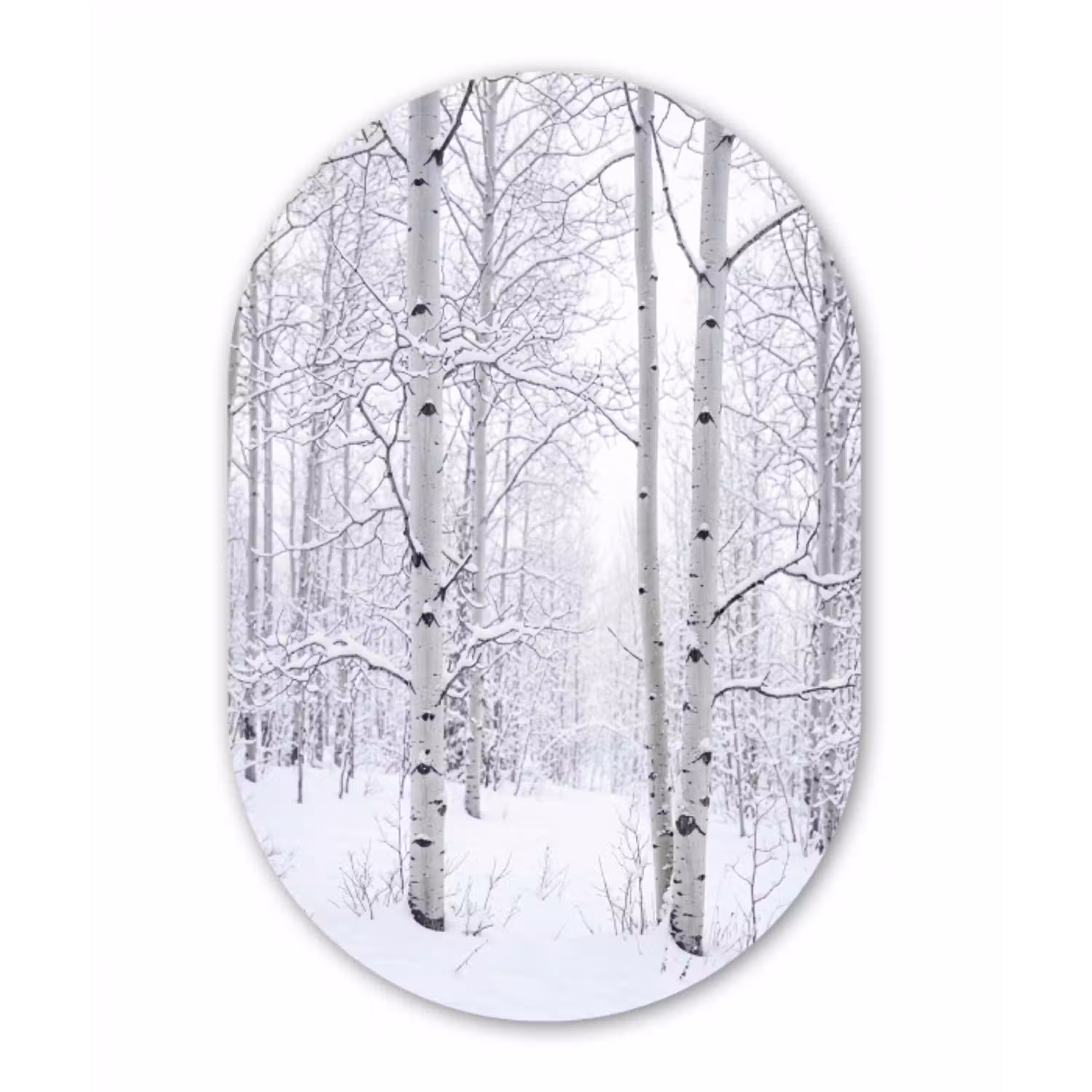 Berkenbomen - Sneeuw - Winter - Bos - Wit Wandcirkel Ovaal Aluminium middel -3d
