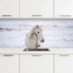 Paard - Kop - Winter - Dieren - Wit keuken achterwand 2 middel -3d