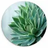 Vetplant - Bladeren - Groen - Wazig Wandcirkel plexiglas klein -3d