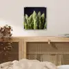 Asperges - Groen - Zwart plexiglas 5mm klein -sfeer4