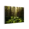 Bomen - Bos - Mos - Planten - Zon - Natuur aluminium wit klein -3d