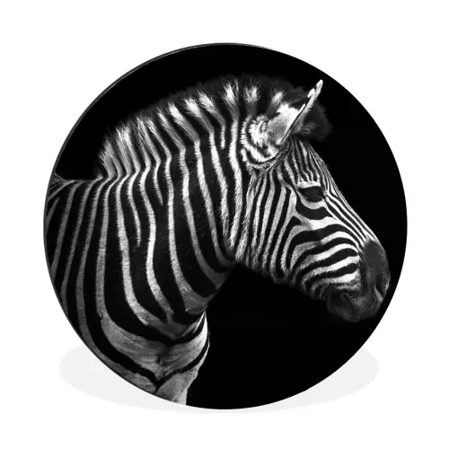 Zebra - Zwart - Wit - Portret - Dieren Wandcirkel aluminium klein -3d