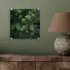 Sparrentakken - Knoppen - Naalden - Groen plexiglas 5mm klein -sfeer3