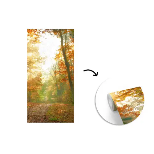 Bos - Herfst - Zon - Landschap - Natuur fotobehang vinyl groot -3d