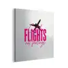 Catch flights not feelings - Vliegtuig - Roze aluminium wit klein -3d