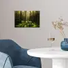 Bomen - Bos - Mos - Planten - Zon - Natuur poster papier klein -sfeer3